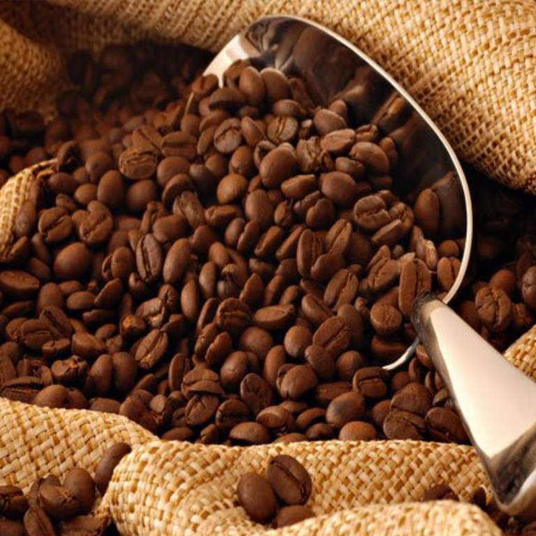 Image Product PR00003