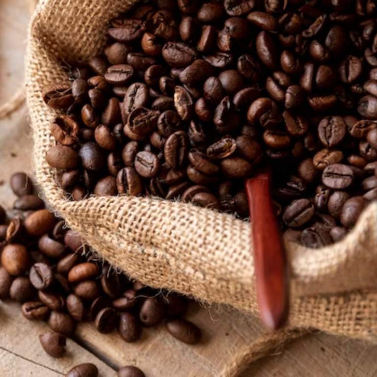 Image Product PR00004