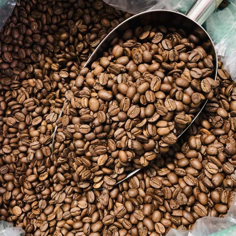 Image Product PR00006