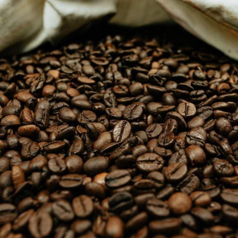 Image Product PR00009