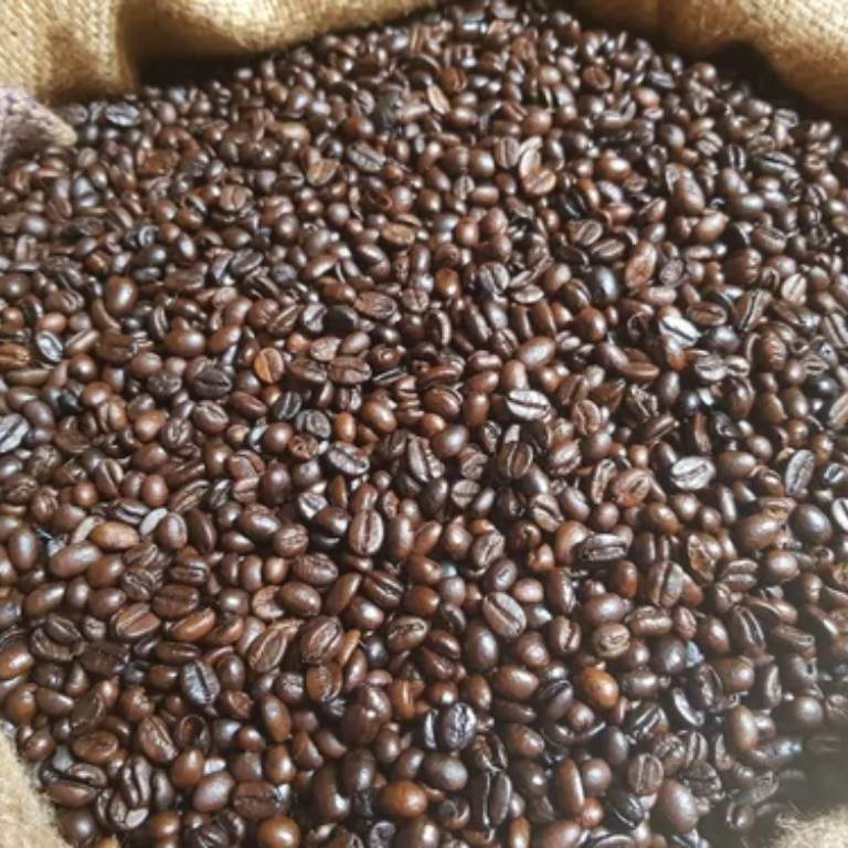 Image Product PR00010