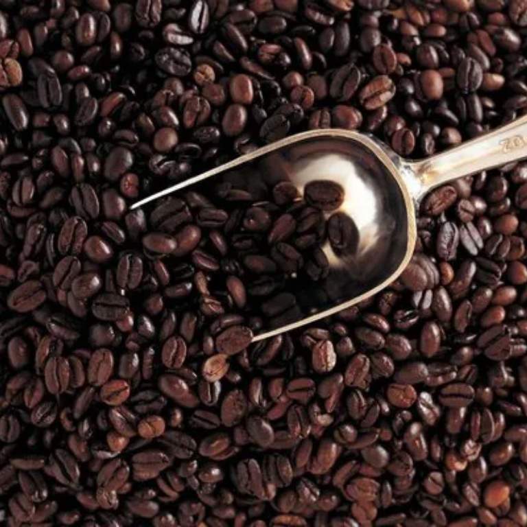 Image Product PR00011